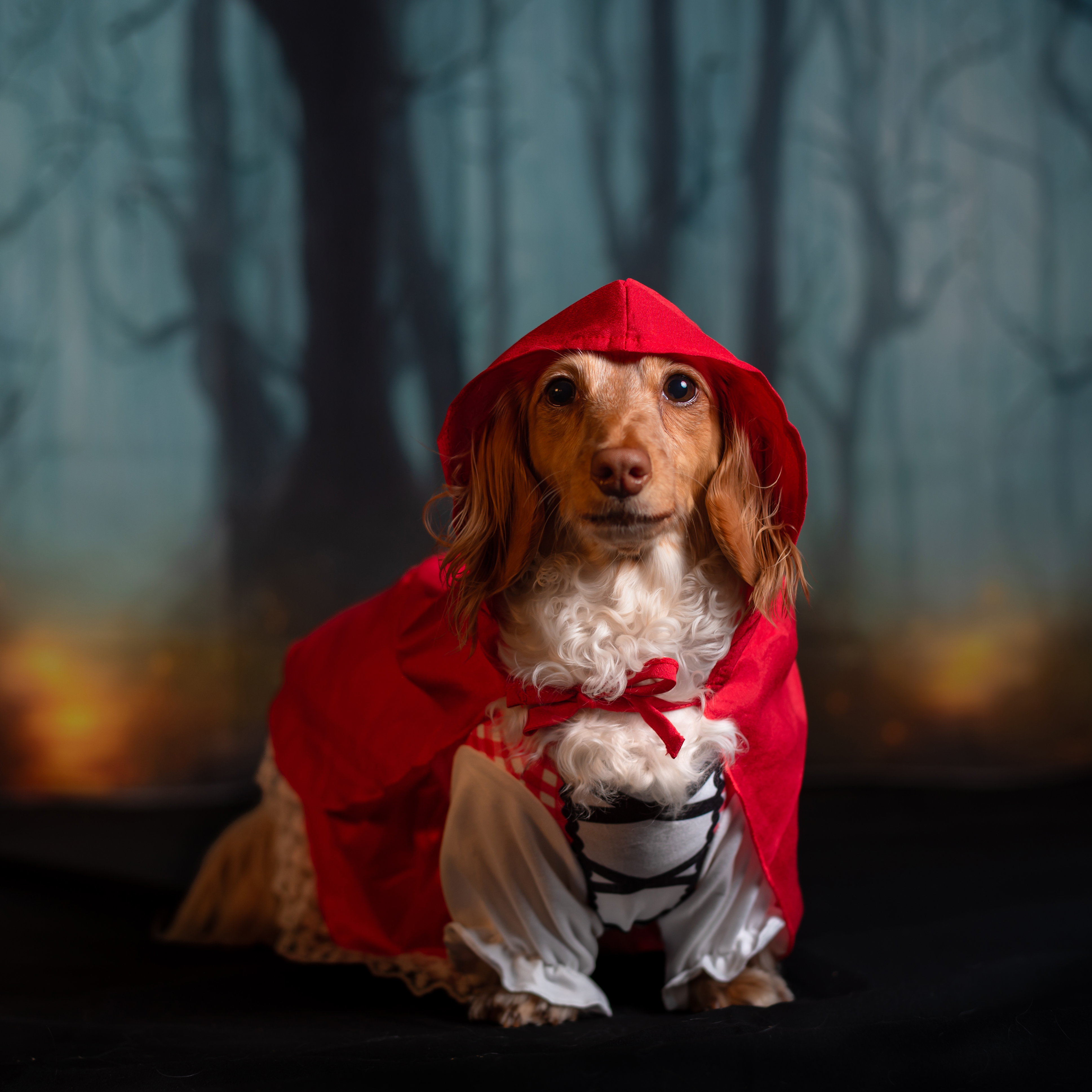 Halloween Photo Shoot at Fort Fido